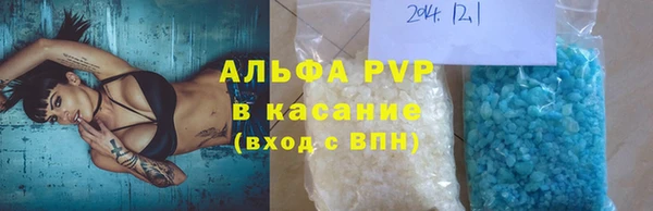 сатива Тобольск