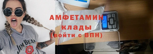индика Санкт-Петербург
