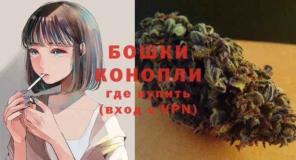 сатива Тобольск
