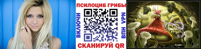 Псилоцибиновые грибы Psilocybine cubensis где можно купить Судогда