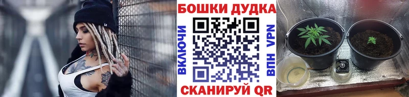 Канабис индика Судогда